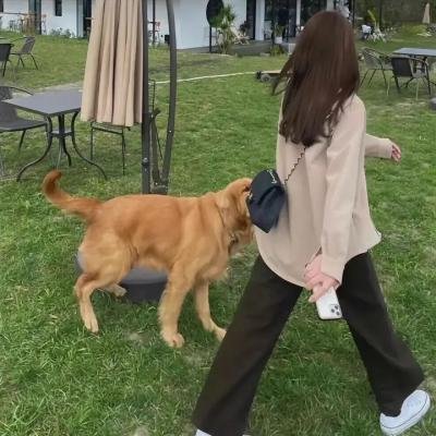 乘上独角兽